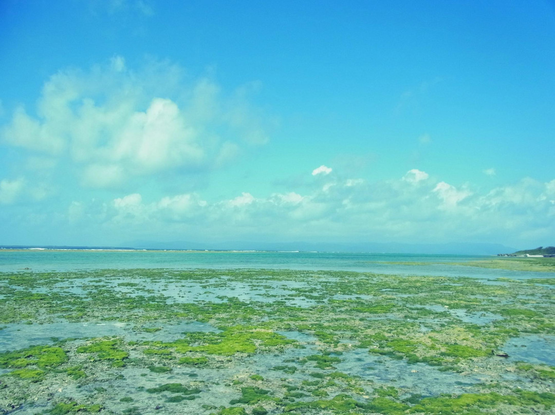 Nakamoto Beach景点图片