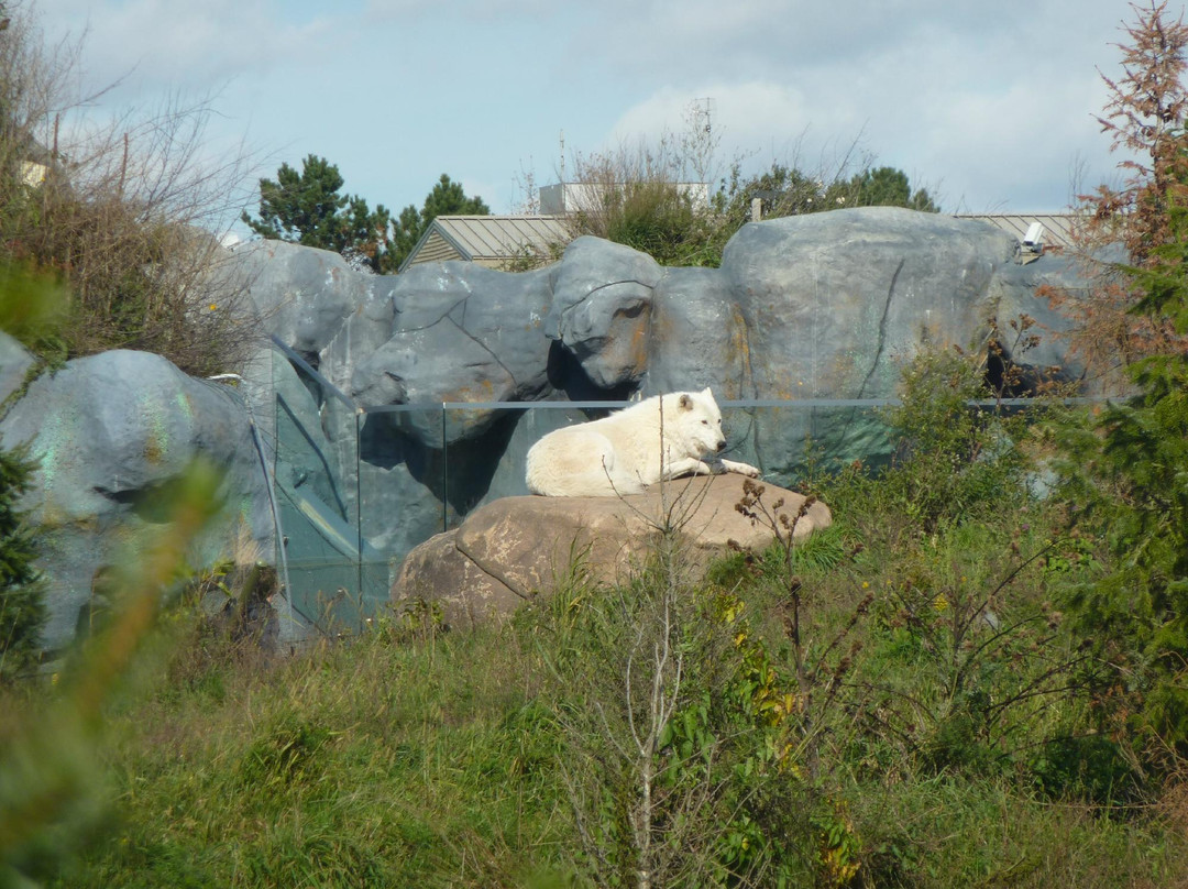 多伦多动物园-多伦多必去景点