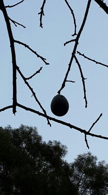 狐尾山气象主题公园-厦门市必去景点