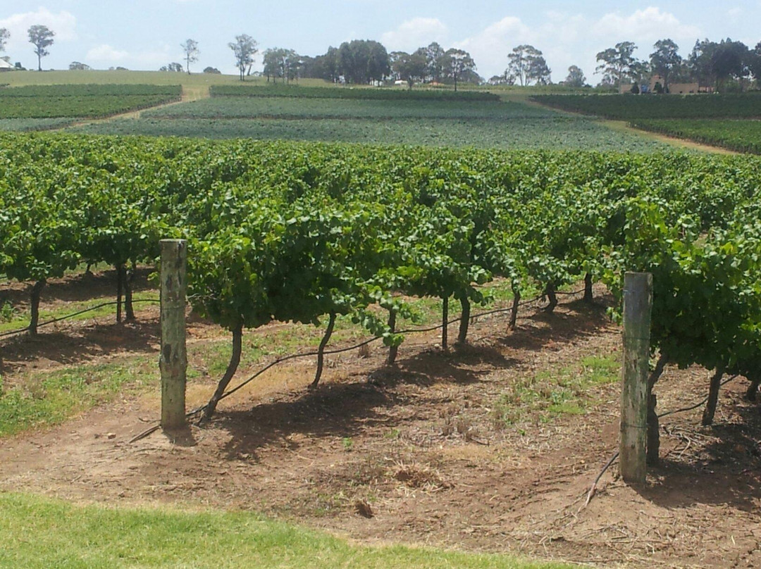 Scarborough Wine Co景点图片