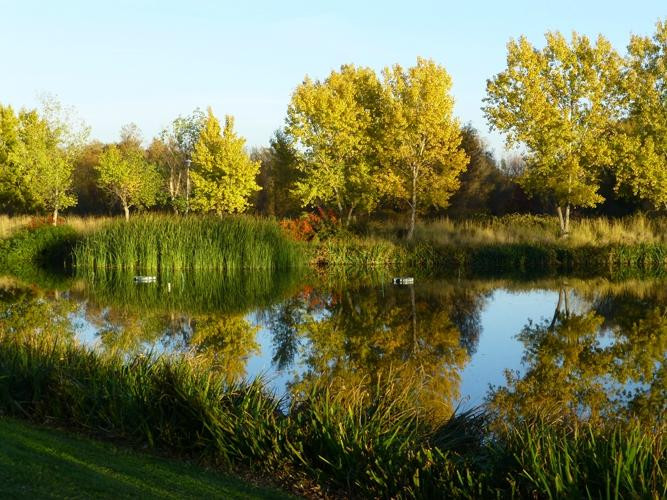 Davis Greenbelt-戴维斯必去景点