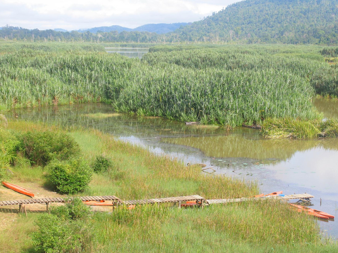 Tasik Chini景点图片
