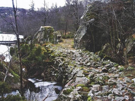 Moi旅游攻略图片