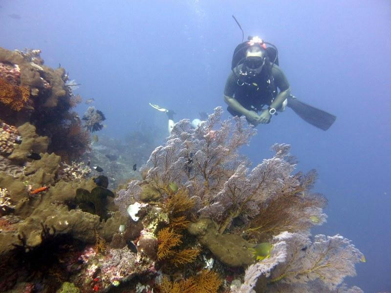 Yes Dive Amed景点图片