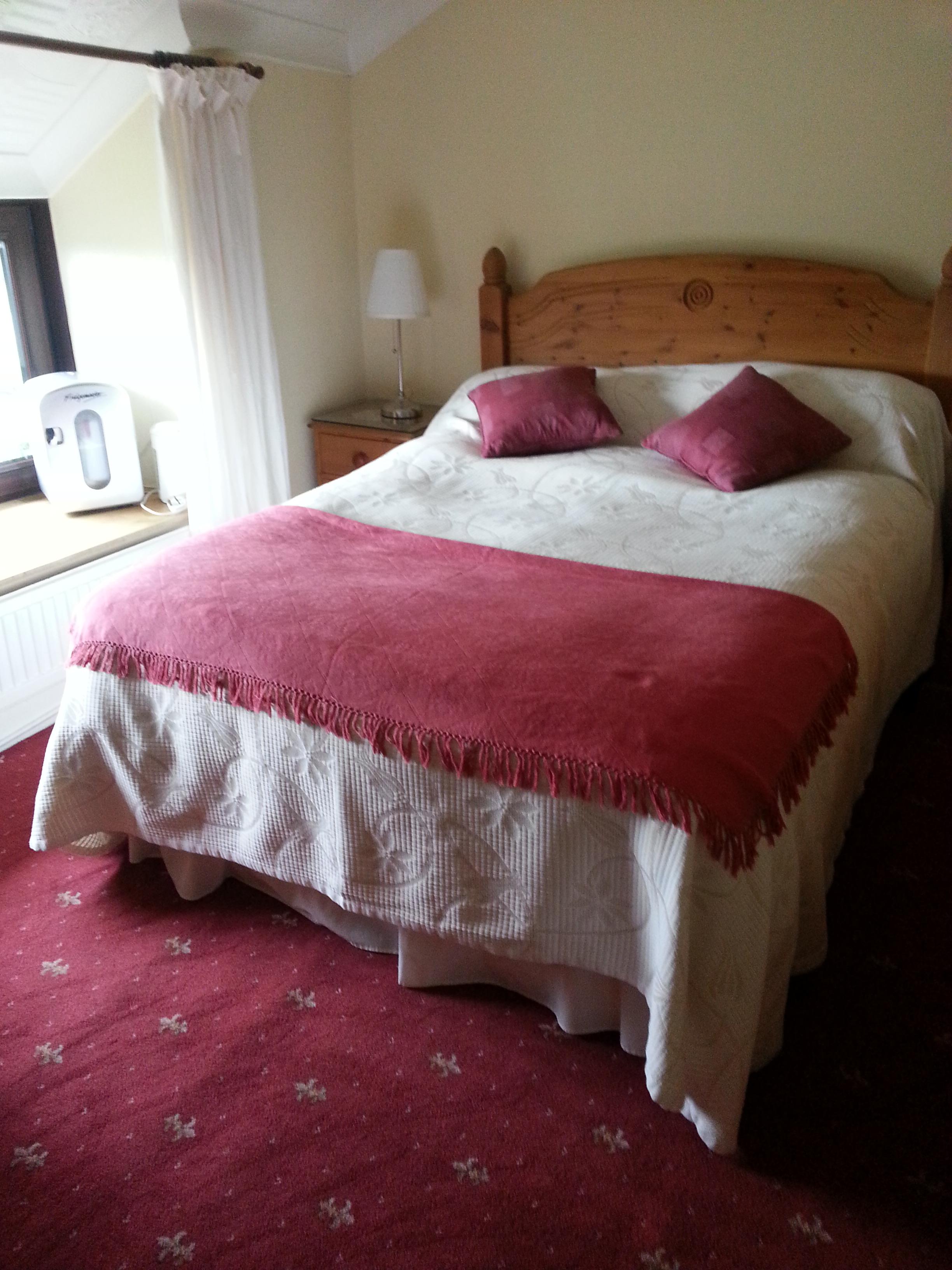 Penybryn Farmhouse-客卧