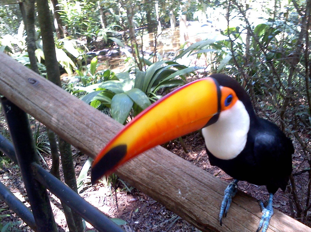 Parque das Aves-伊瓜苏必去景点