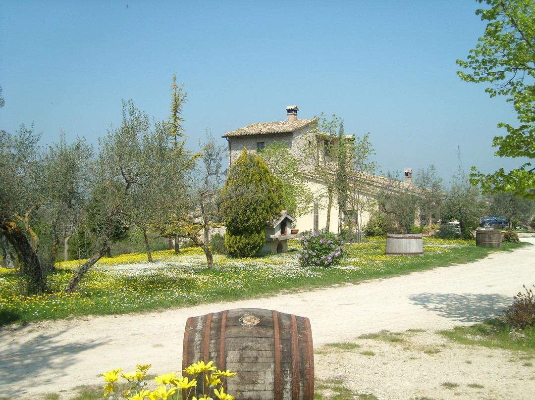 Marcellano酒店住宿-Fattoria Del Quondam