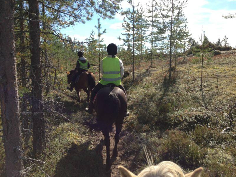 Kainuun Vaellustalli-Sotkamo必去景点