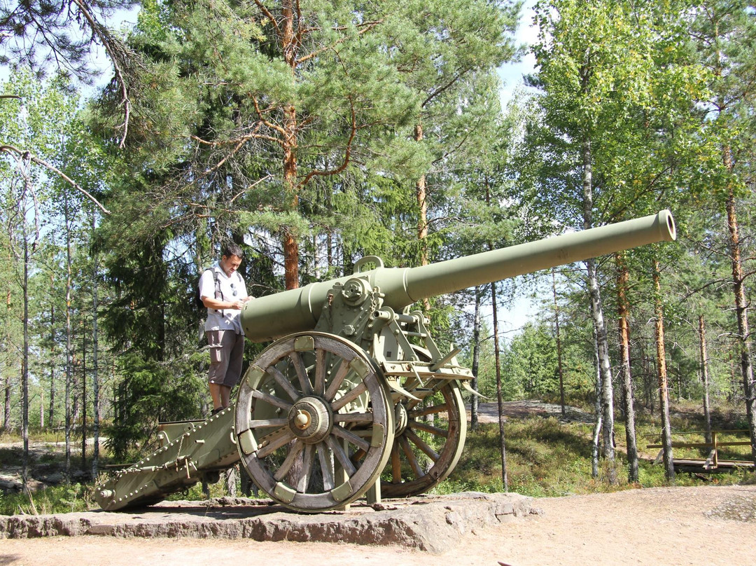 Torfyanovka旅游攻略图片