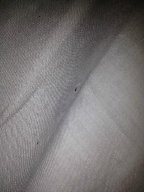 Sea Turn Motel主图