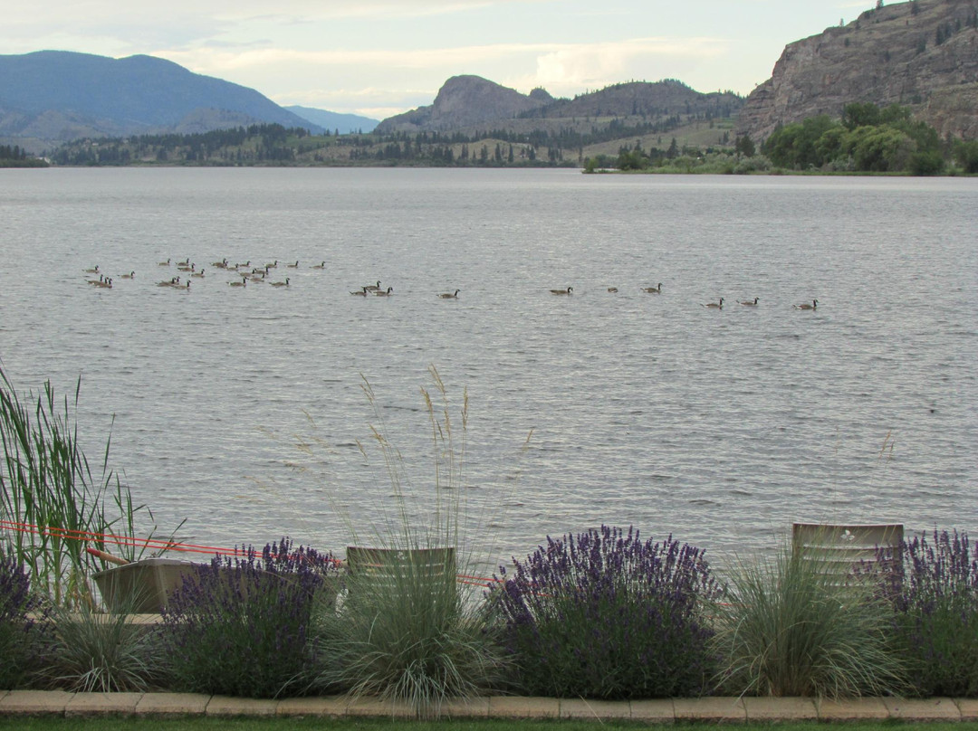 Vaseux Lakeside Resort主图