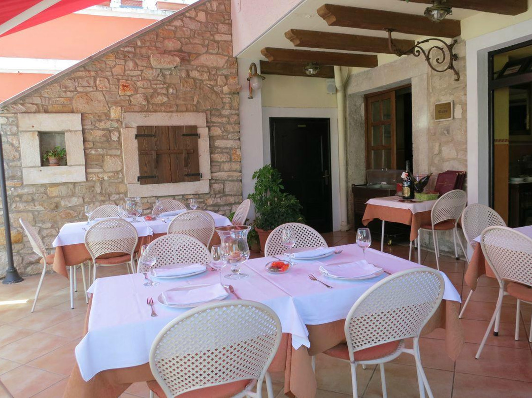 Sidro Ancora Novigrad