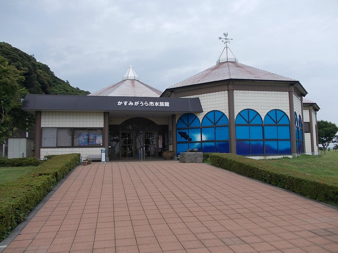 Kasumigaura Aquarium-霞浦市必去景点