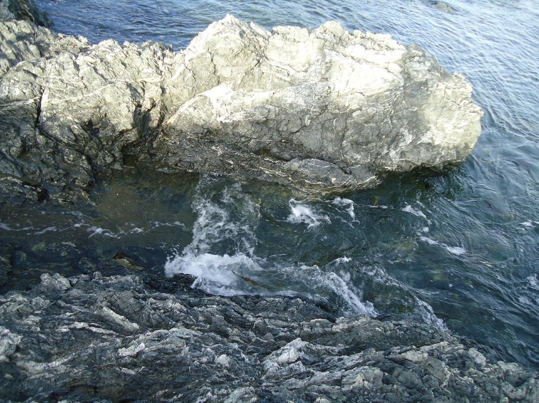 Princess Bay-惠灵顿必去景点