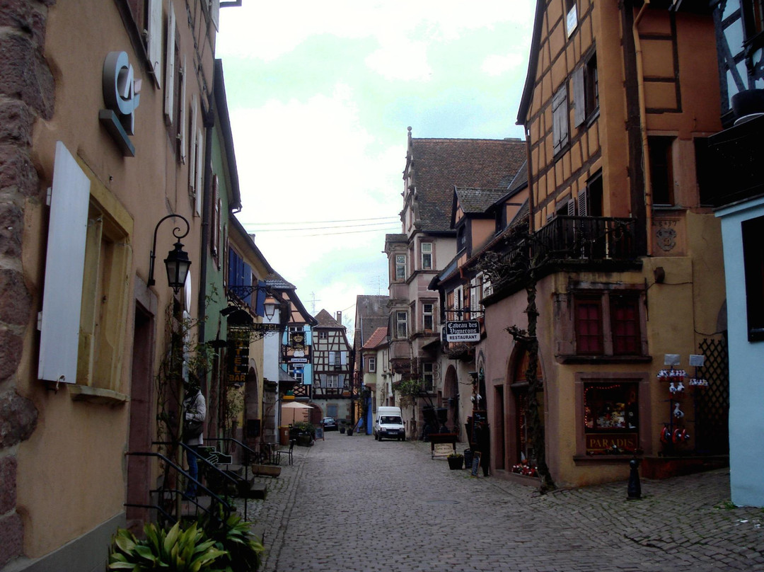 La Rose des Vins Private Tours-斯特拉斯堡必去景点