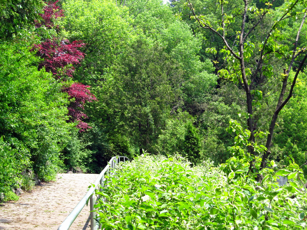 爱德华公园-多伦多必去景点