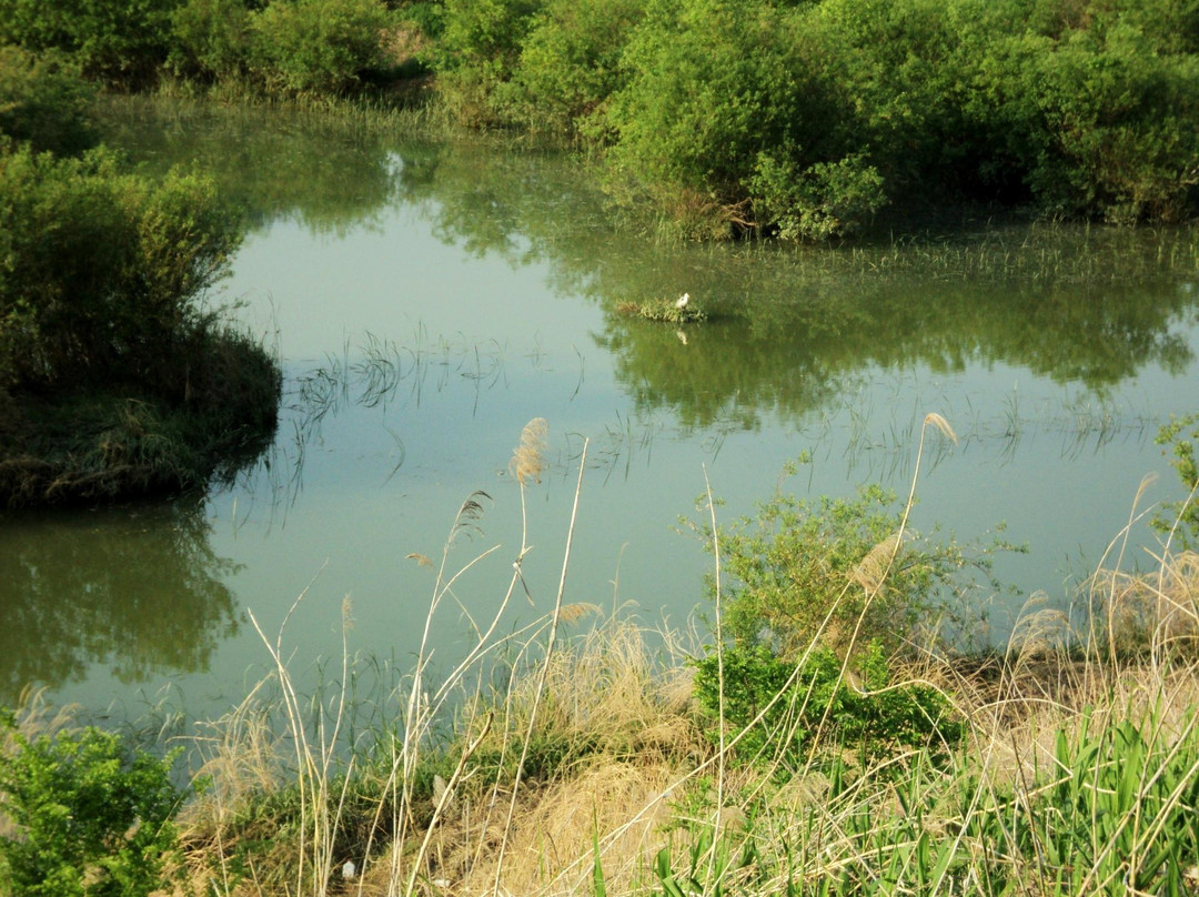 Upo Wetland-昌宁郡必去景点