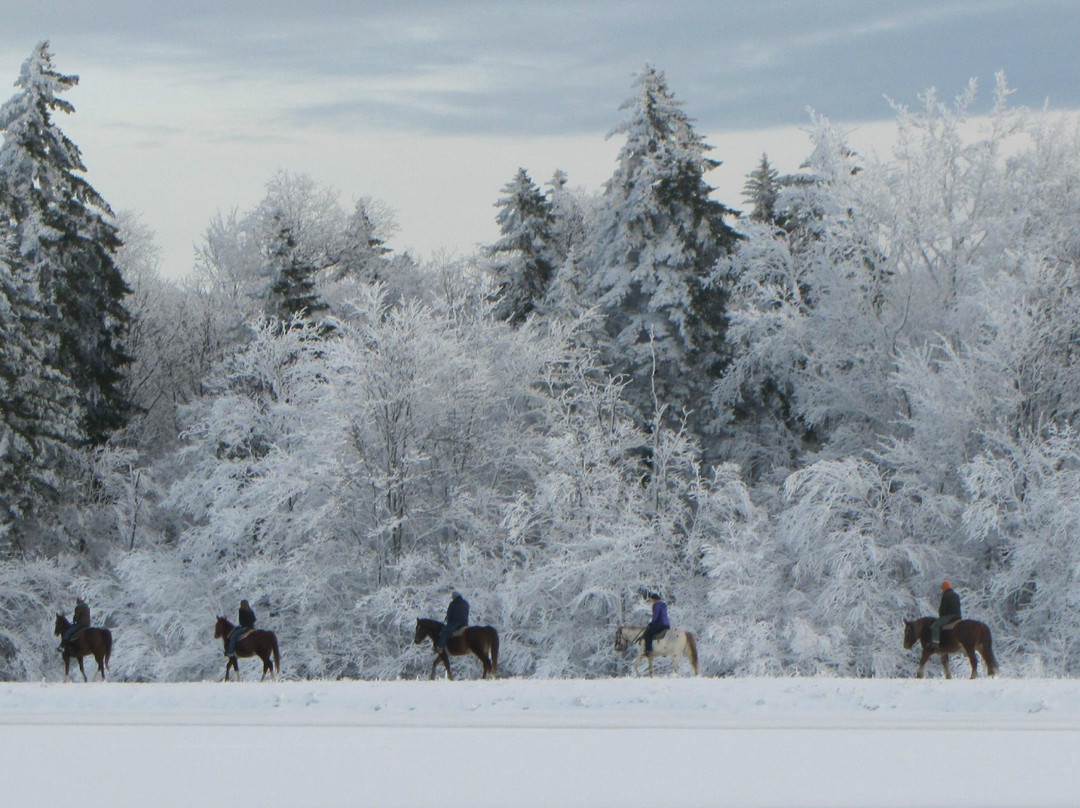 Cheat Mountain Stables-雪鞋山必去景点