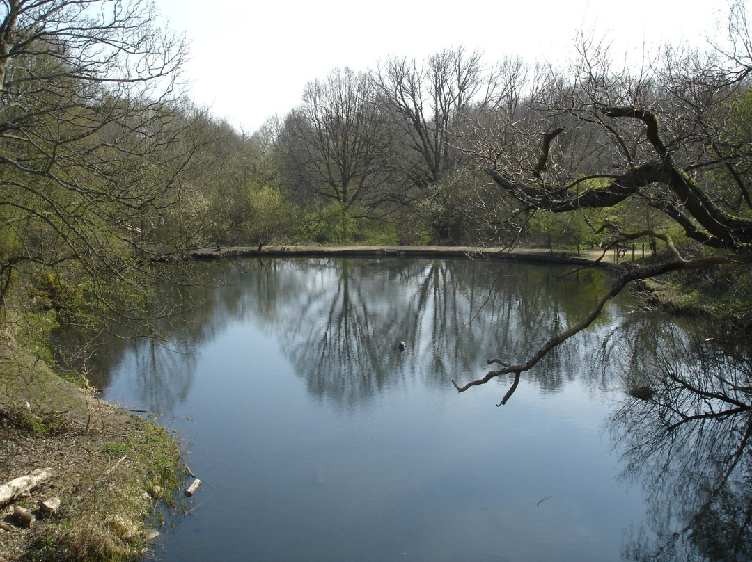 Footprints of London-伦敦必去景点