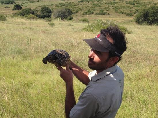 Schotia Safaris Private Game Reserve-伊丽莎白港必去景点