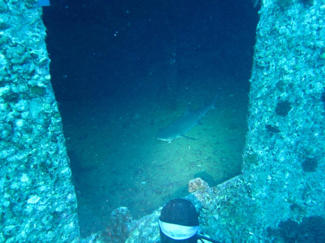 凯马纳潜水-火奴鲁鲁必去景点