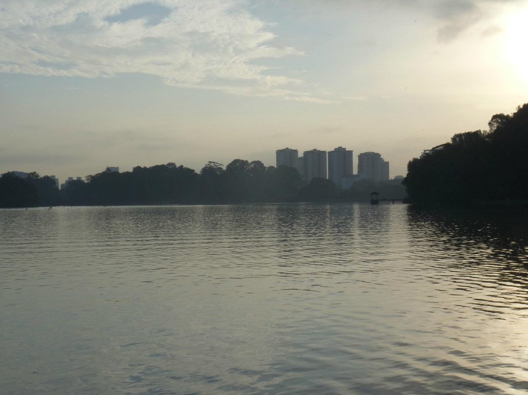 麦里芝自然小径-新加坡必去景点