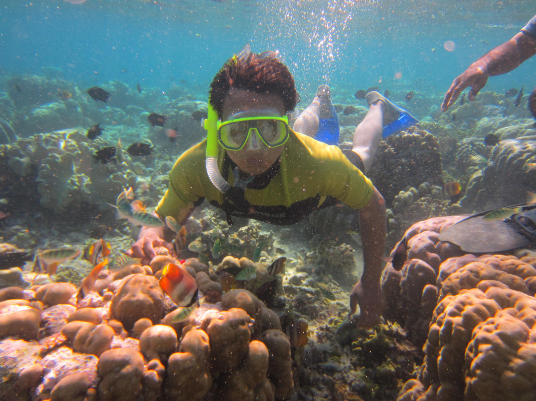 Bunaken National Marine Park景点图片