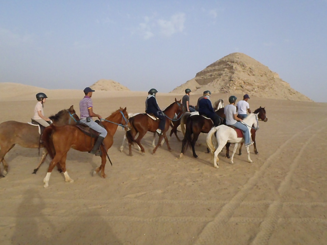 Al Sorat Farm