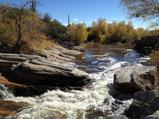 萨比诺峡谷-图森必去景点