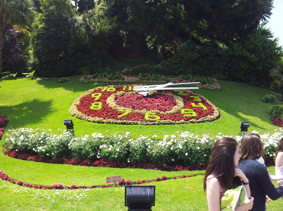 Flower Clock (Reloj de Flores)-比尼亚德尔马必去景点