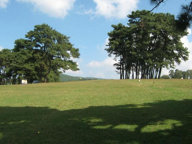 Golf Links景点图片