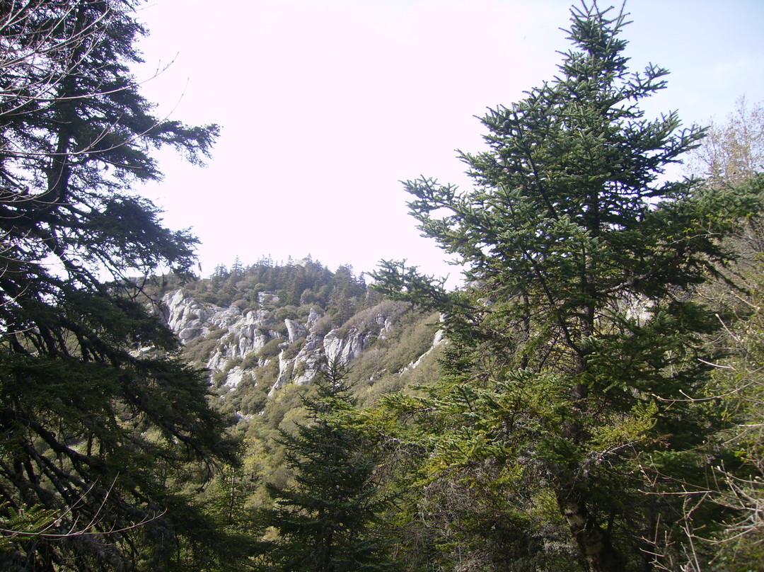 Talassemtane National Park-舍夫沙万必去景点