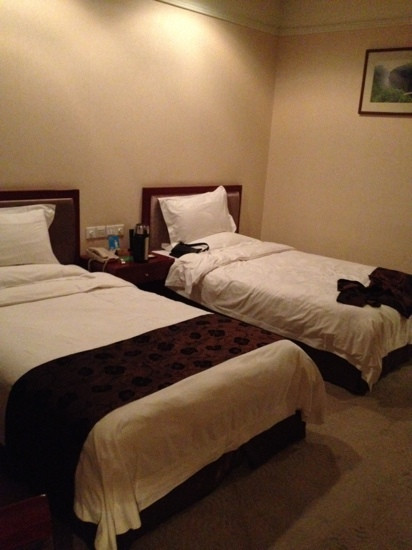 碧鑫大酒店主图