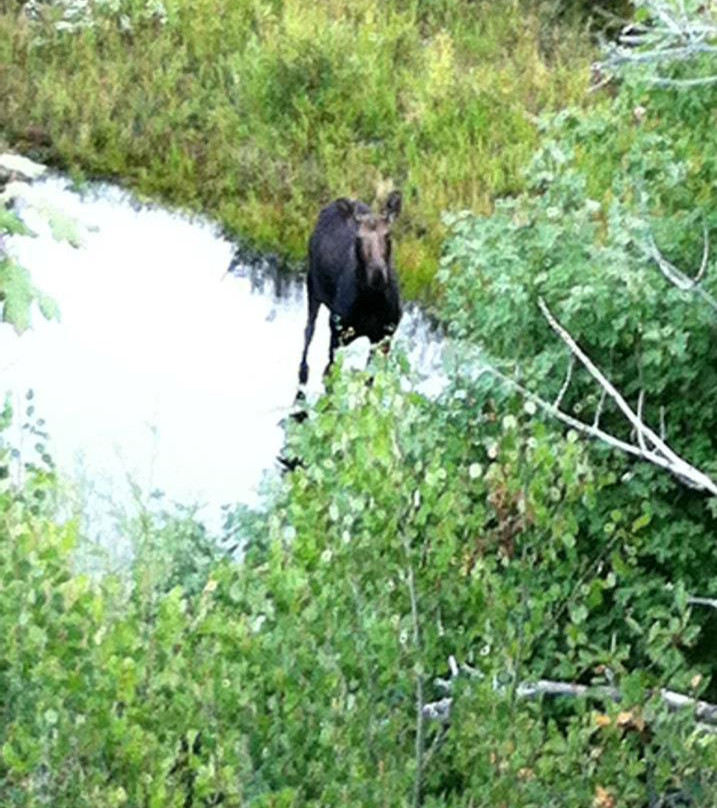 Alpine Trail Rides-Alpine必去景点