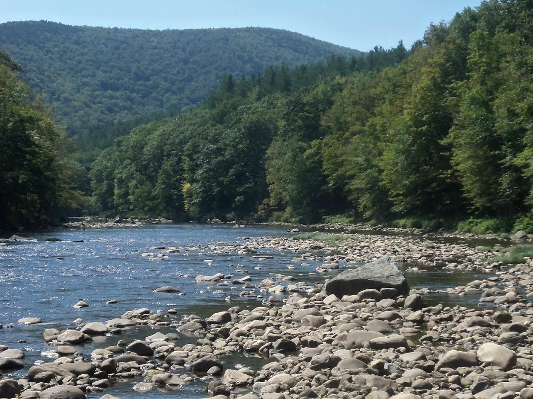 Mohawk Trail State Forest-Charlemont必去景点