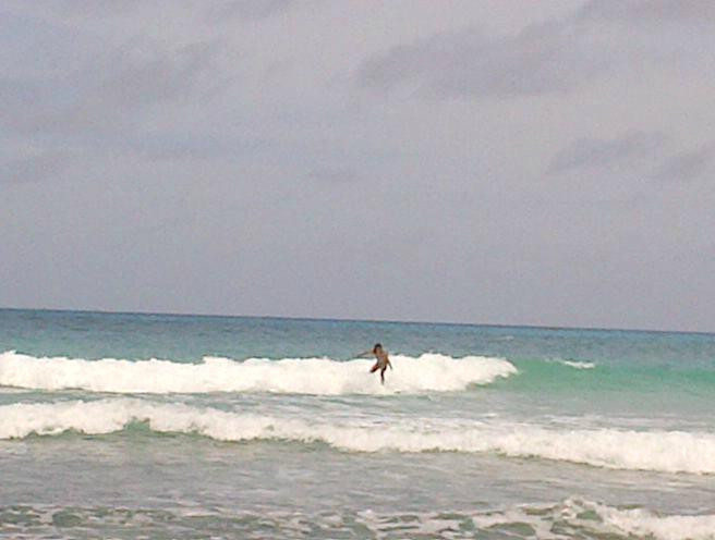 Burkie Surf School-基督城必去景点