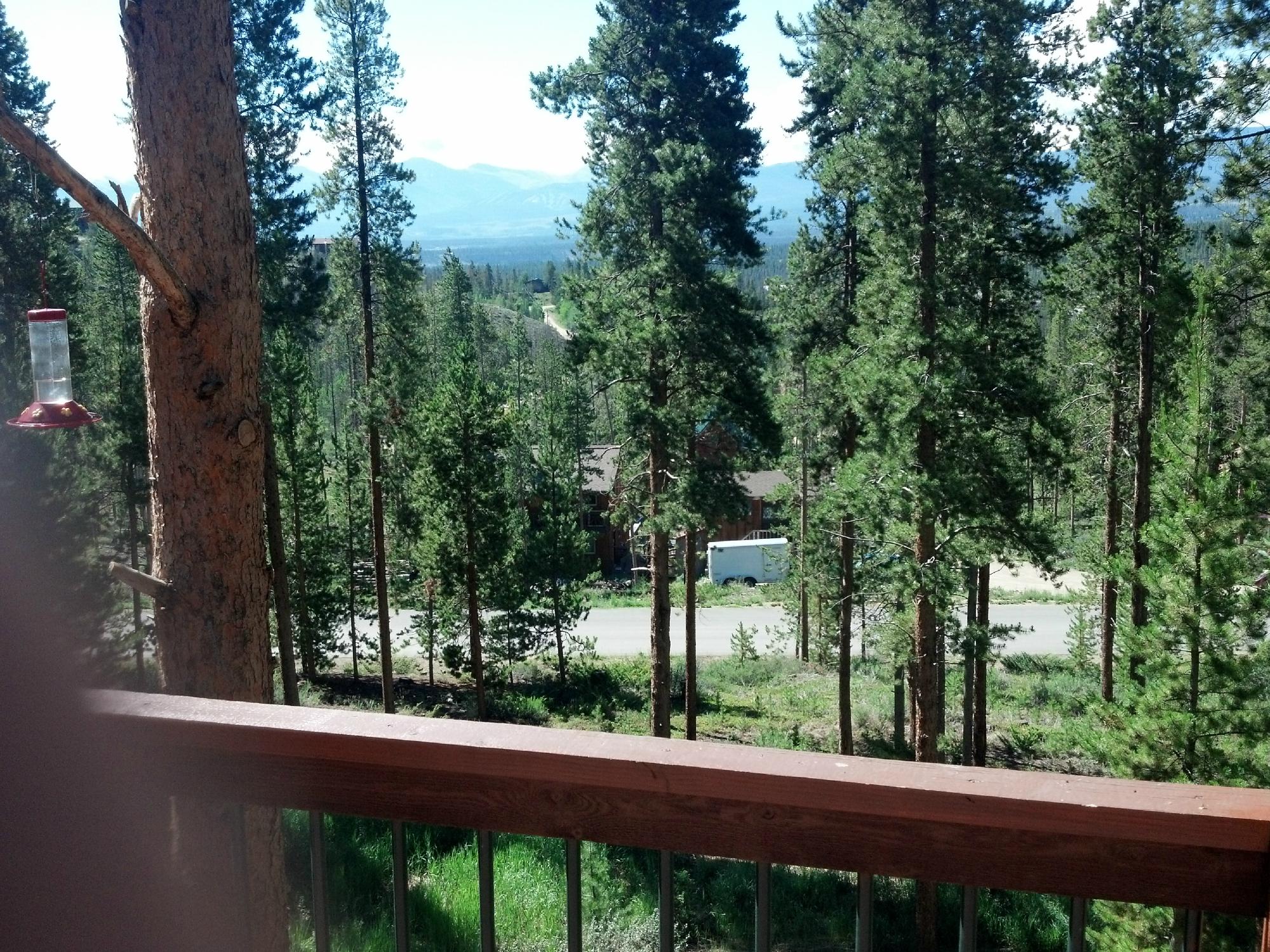 Arctic Sage Bed & Breakfast-酒店景观