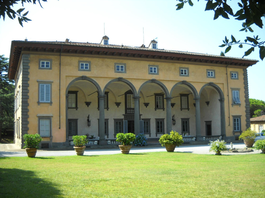 Grifo Tour - Centro Guide in Toscana-比萨必去景点