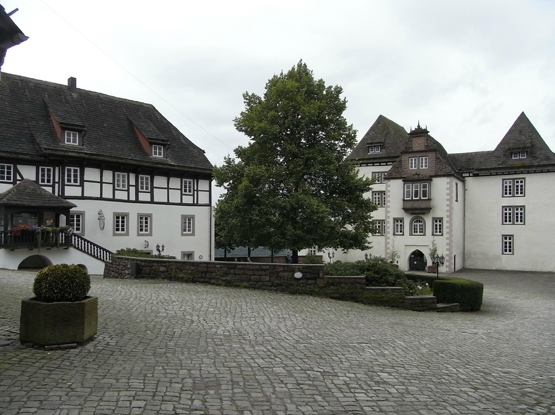 Museum Schloss Furstenberg景点图片