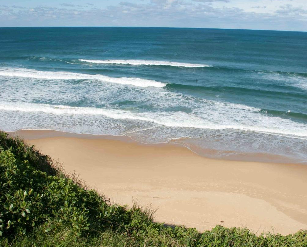 Dixon Park Beach-纽卡斯尔必去景点