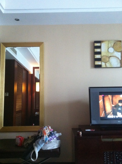 凤凰岛雷迪森假日酒店主图