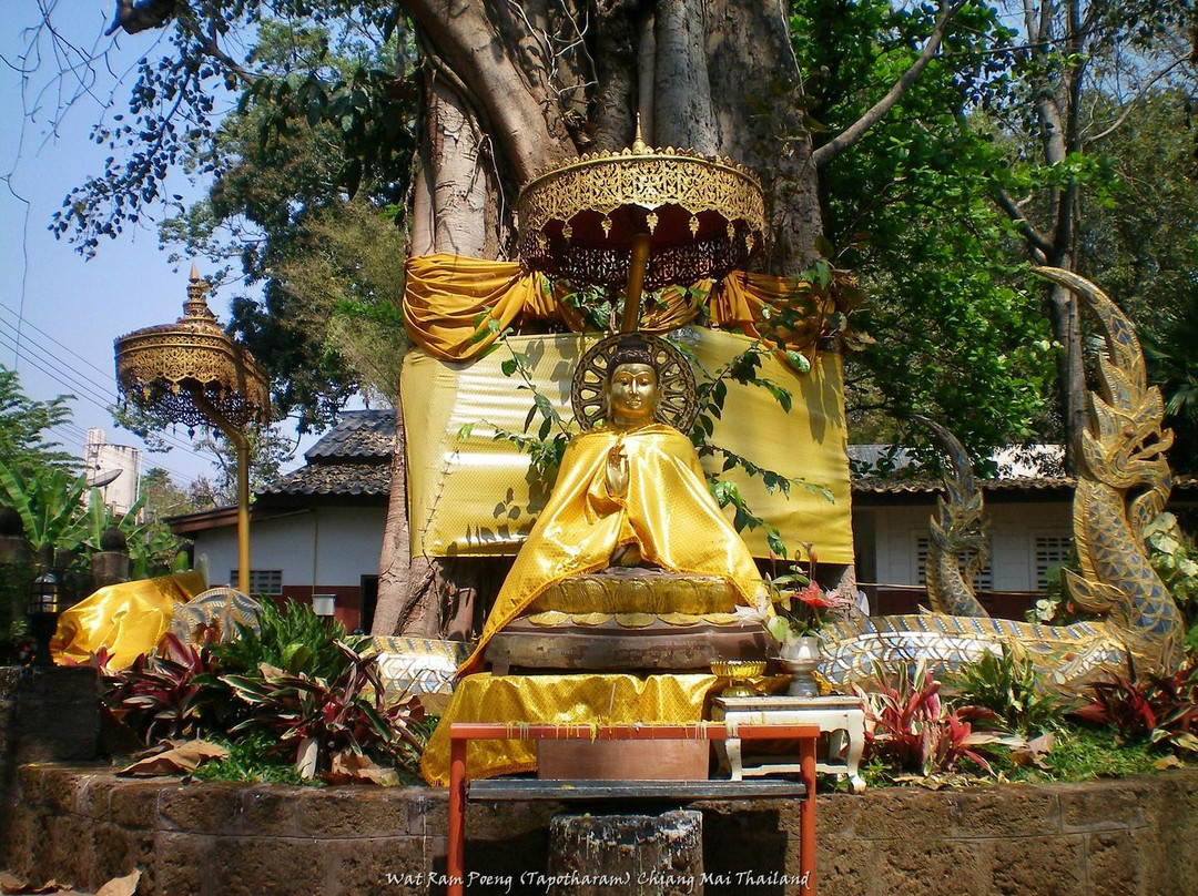 Wat Ram Poeng-清迈必去景点