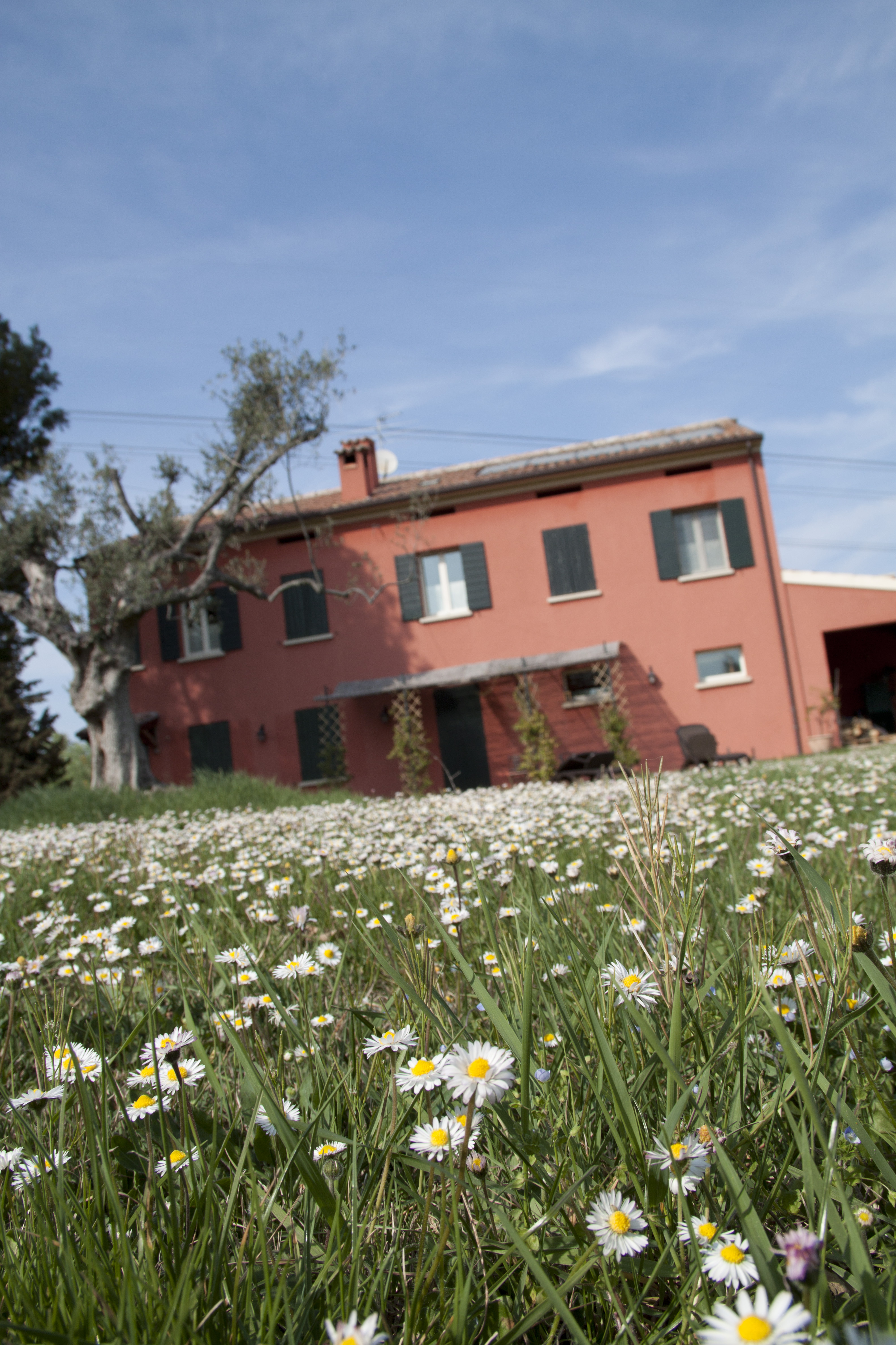 Casa della Stella-官方