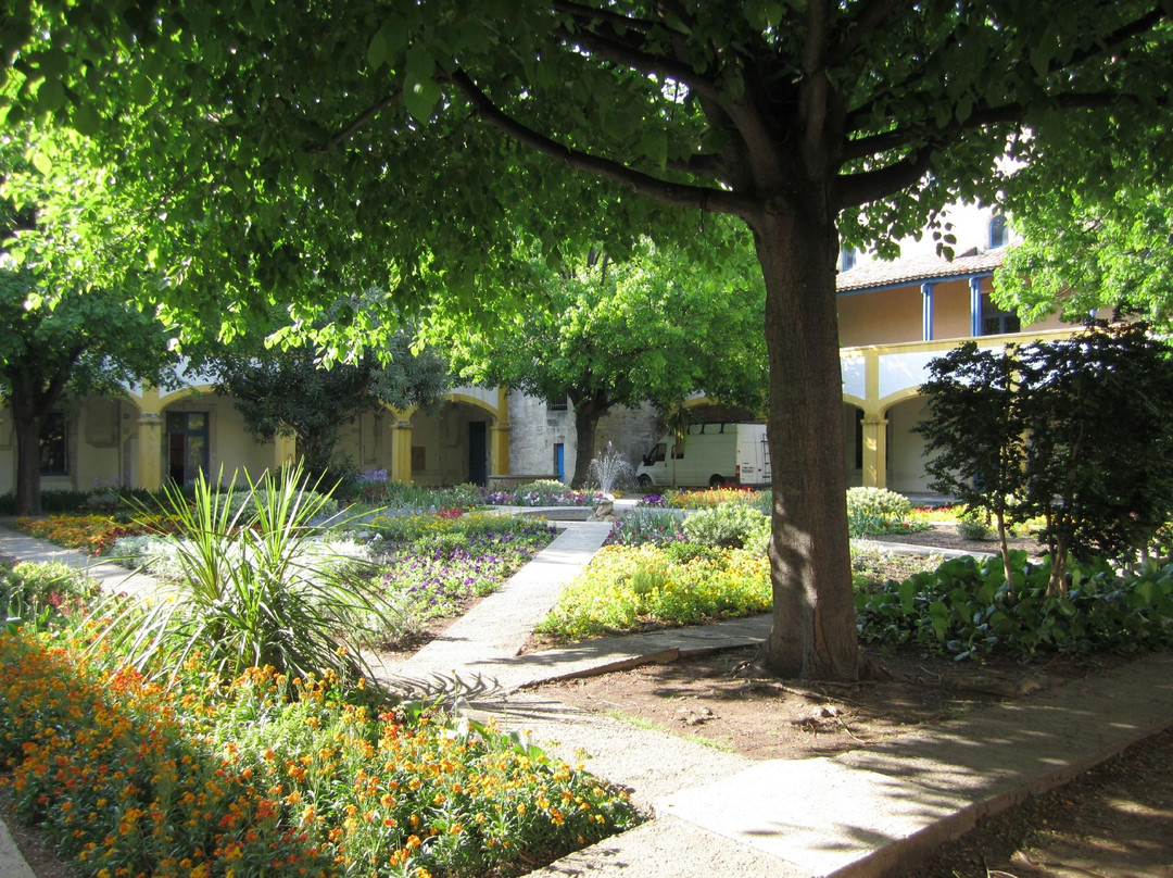 All Provence Private Tours-阿维尼翁必去景点