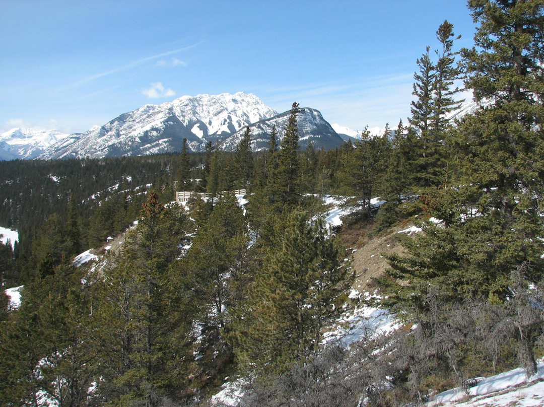 Tunnel Mountain Drive-班夫必去景点