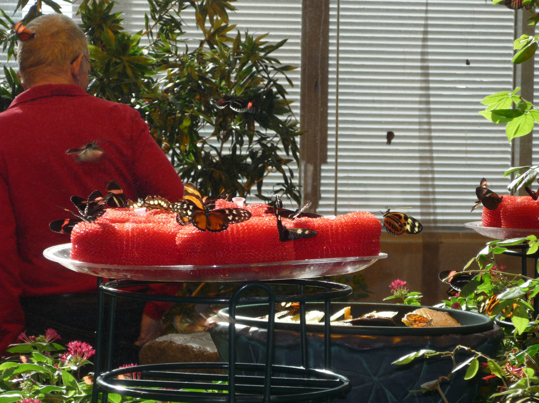 Milwaukee Public Museum-密尔沃基必去景点