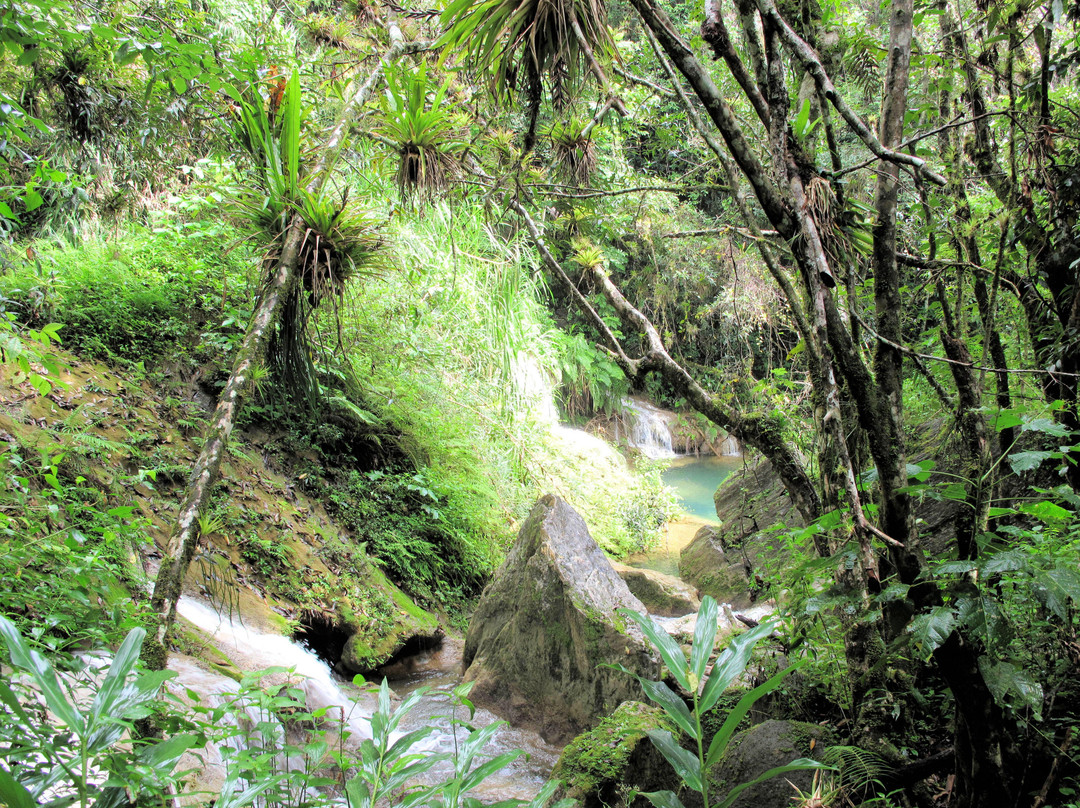 Parque Guanayara景点图片