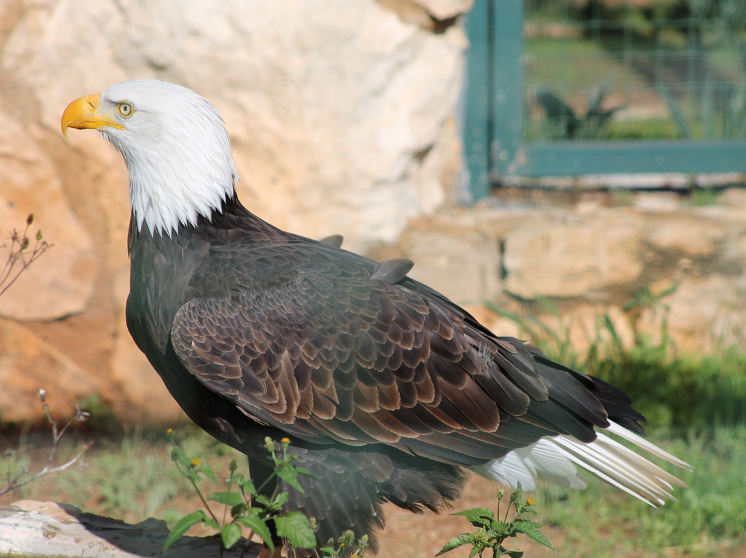 Pafos Zoo-帕福斯必去景点