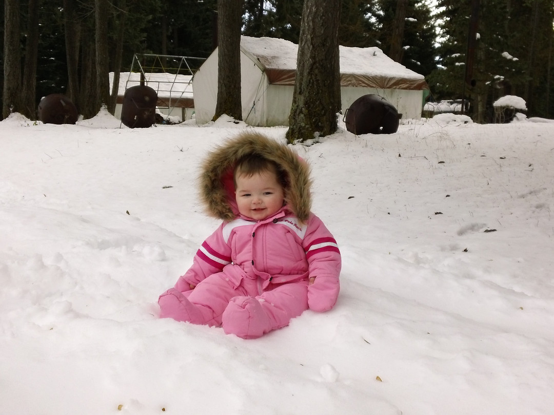 Happy Trails Horse Adventures-Cle Elum必去景点