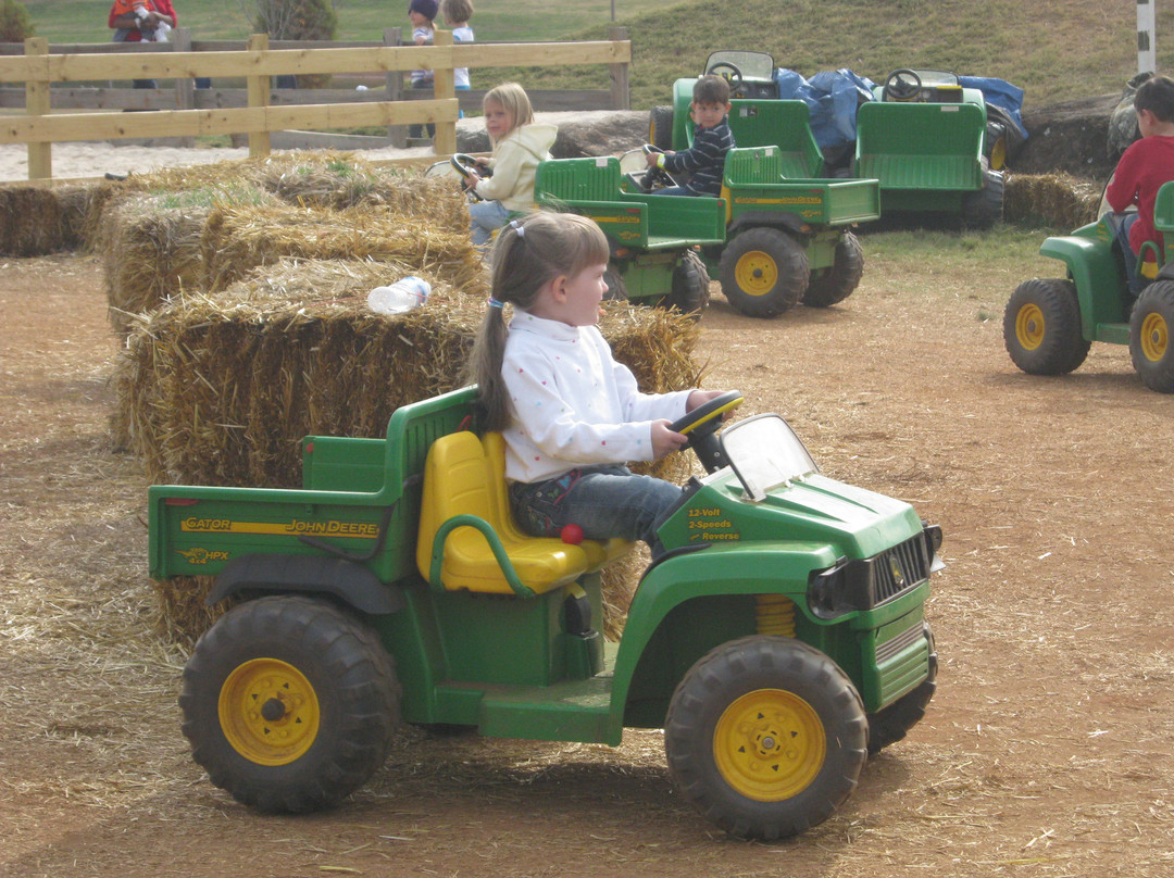 The Rock Ranch-The Rock必去景点
